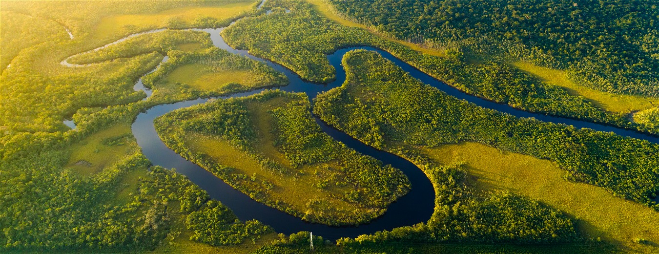 Pantanal