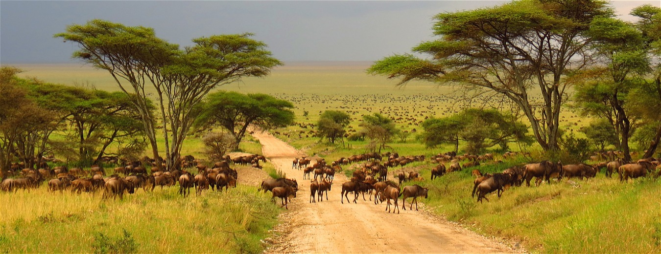 Tanzânia: natureza sem filtro
