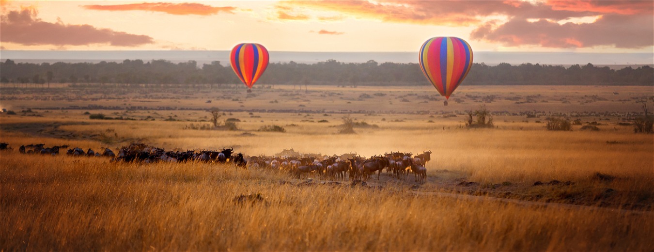 Quênia: sons da natureza