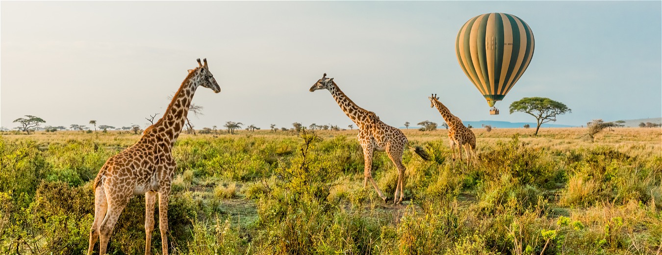 4 novos hotéis que você precisa conhecer