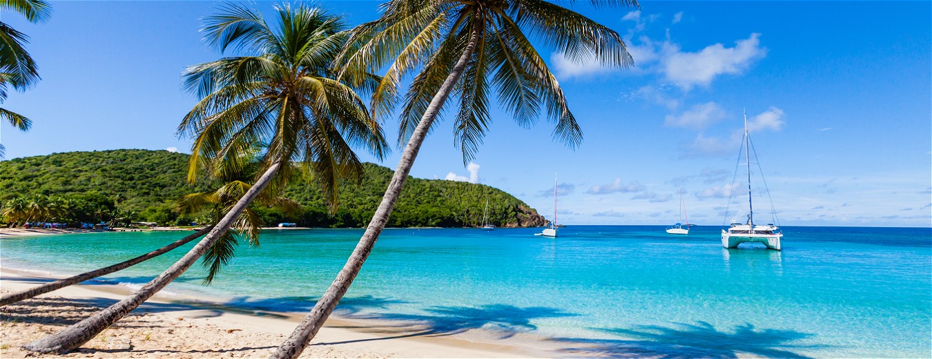 São Vicente e Granadinas