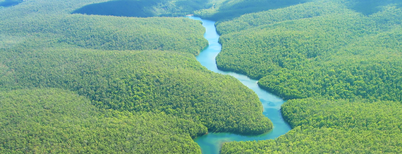 Amazônia