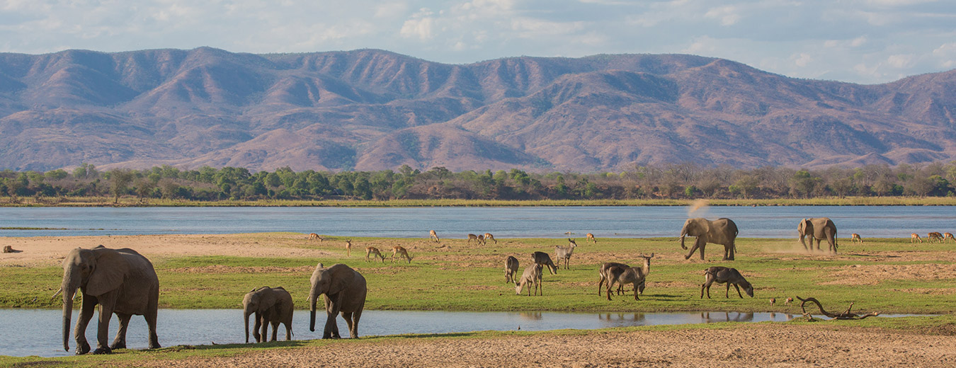 Mana Pools National Park