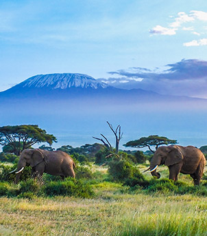 Amboseli National Park