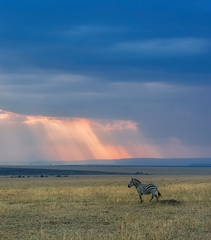 Masai Mara Game Reserve