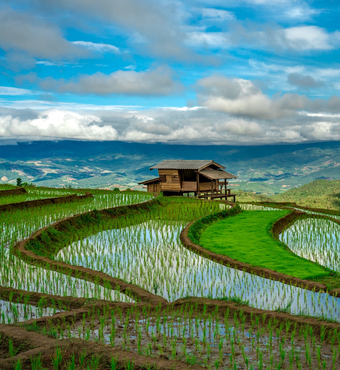 Tailândia: viver e morar com simplicidade