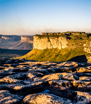 Imersão na natureza do Brasil