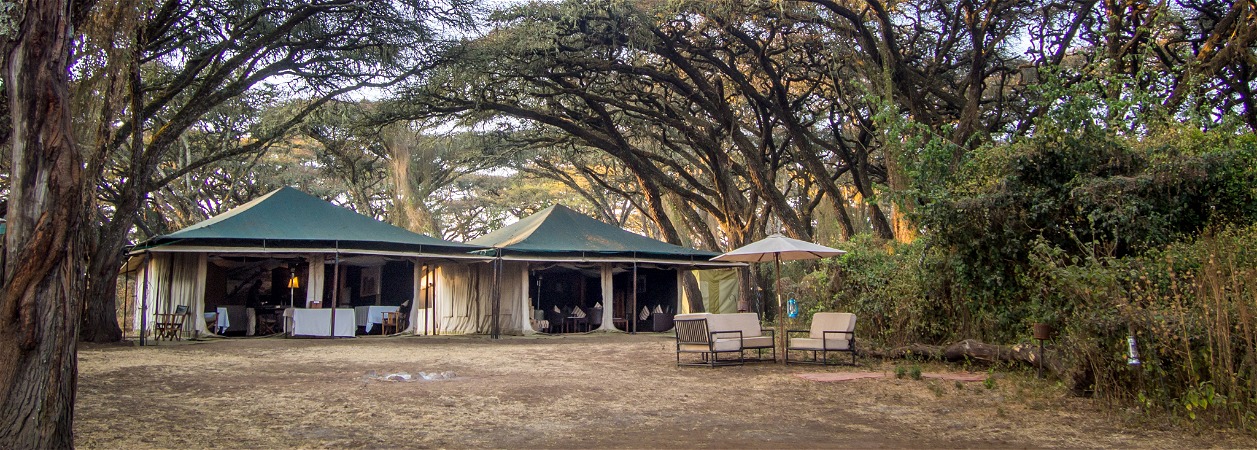 Sanctuary Ngorongoro Crater Camp 