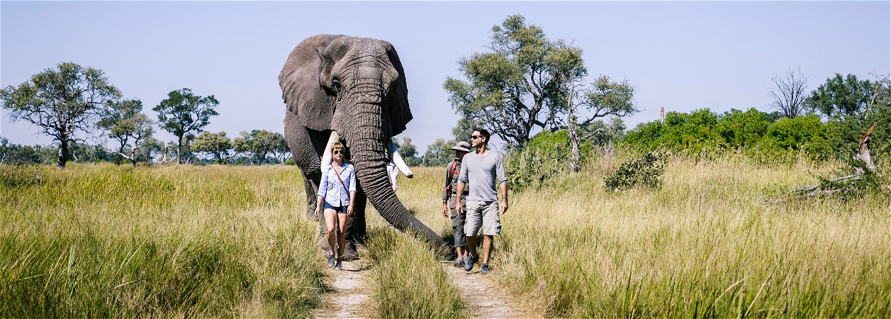 Sanctuary Stanley's Camp