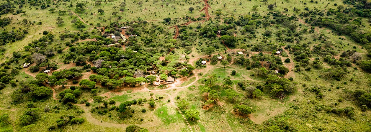 Sanctuary Swala