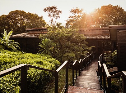 One&Only Lodge Nyungwe House