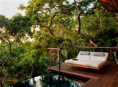 One & Only Mandarina