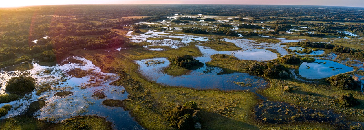 Pantanal
