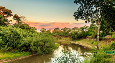 Pantanal
