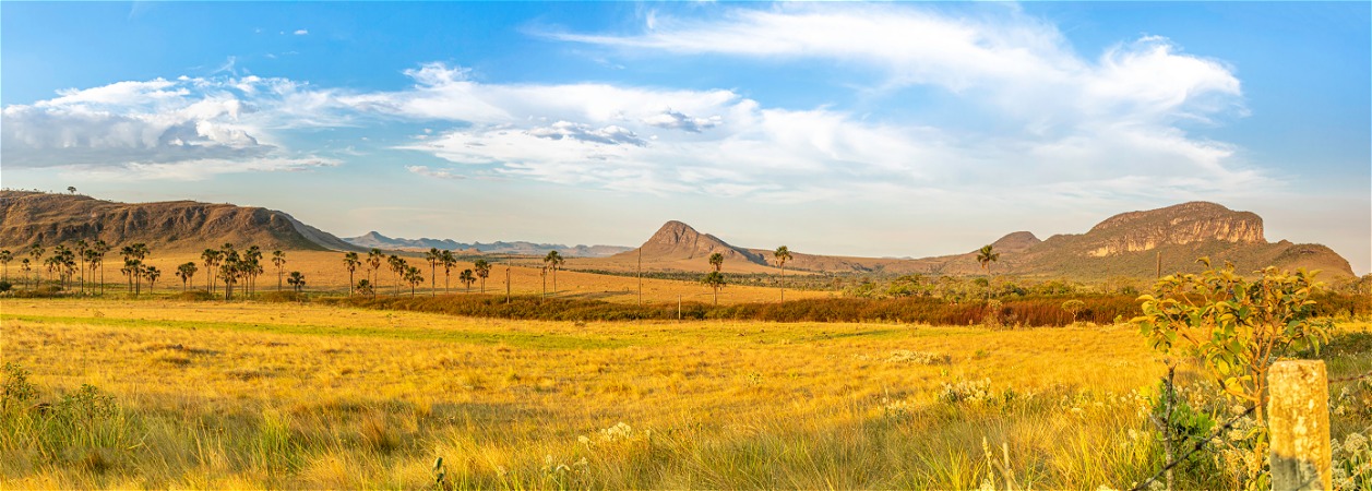 Chapada dos Veadeiros e Alto Paraíso