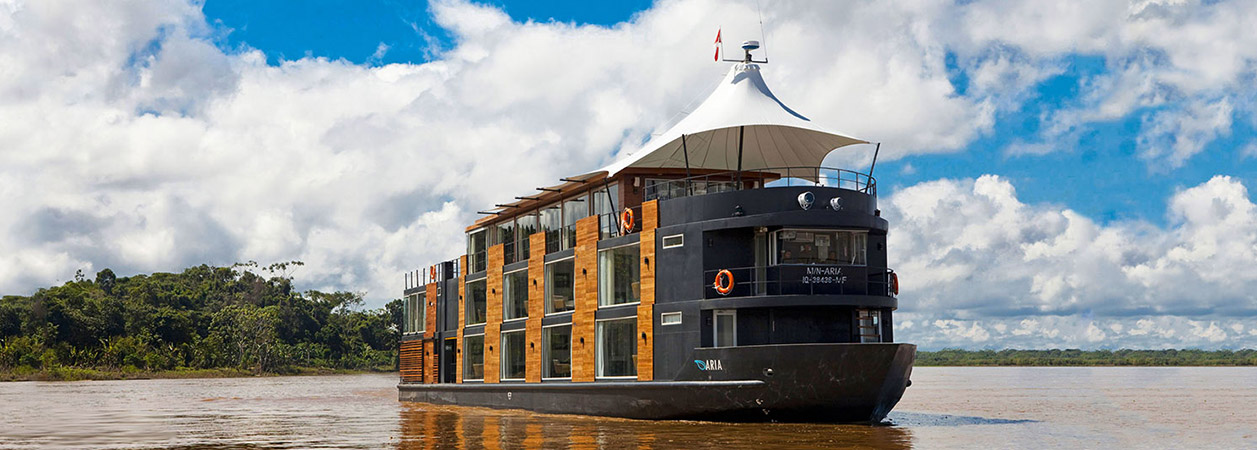 Aria Amazon