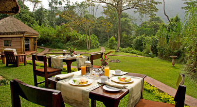 Sanctuary Gorilla Forest Camp