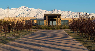 The Vines Resort & Spa