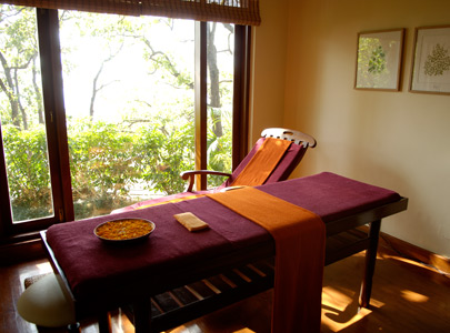 Ananda In the Himalayas