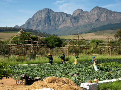 Babylonstoren Farm Hotel