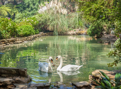 Hotel Bel Air, Dorchester Collection