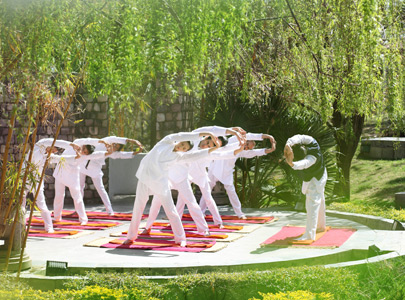 Ananda In the Himalayas