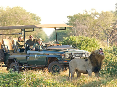 Molori Safari Lodge